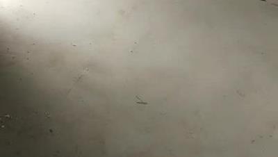 户外废墟楼啪啪乱伦野战_姐妹情深_共享一夫_看着姐姐骑坐在男友J8上好刺激“老公加油干操她”高清源码录制