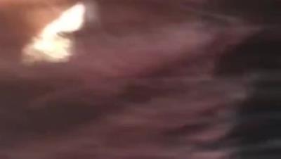 露脸骚母狗乖乖的钻到车上主动脱裤子“使劲操干死我逼痒的”无套内射对白清晰淫荡