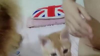 颜值不错的小太妹小小的粉色AV棒自慰骚逼呻吟翘挺的奶子骚嫩的模样看着就欠操