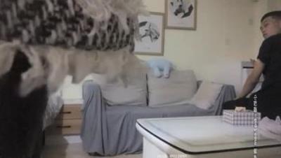 3P极品外围空姐情趣黑丝前后夹击好淫荡