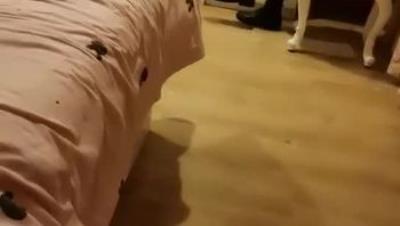 接上大学女儿回家家里没人太难受让女儿帮爸爸泻泻火