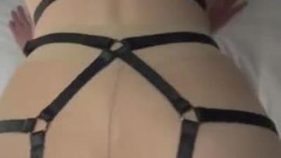 北京央视落地窗前的小m狗