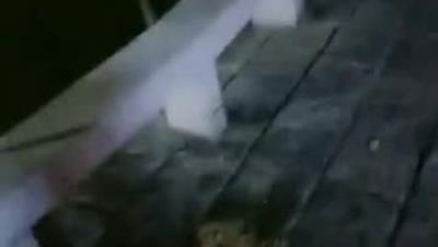 仓井户外骚全程露脸情趣透视装真刺激，街边跳弹自慰撒尿真刺激，勾搭野男人回家激情啪啪，舔弄两根大鸡巴