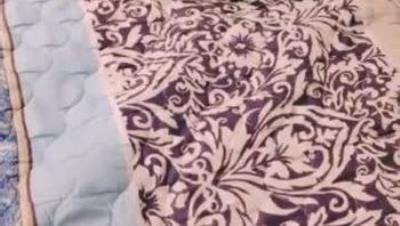 双马尾萝莉萌妹逼逼无毛，插入进进出出呻吟诱人，后入深插圆润美臀