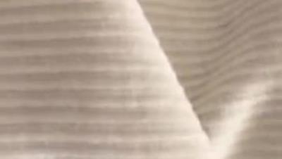 2021- 9- 22  看 到 一 頭 豬