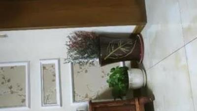 2021- 10- 6  美 女 少 婦 新 人 - - - - - - - 扶 在 沙 發 上 -