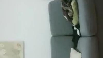 2021- 11- 20  小 夏 尋 花 深 夜 約 戰 嫩 妹 ， 堅 挺 一 手 抓