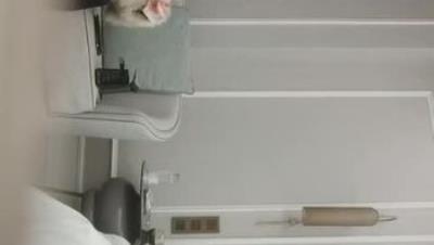 2022-1-24《开发探索》极品风骚网红女，丰乳肥臀肉感身材，掰开小逼看看，翘起屁股后入式，搞得太猛妹子受不了