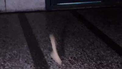 顶级露脸小母狗【Lunana】露出喝尿调教啪啪，各种花样，玩花了