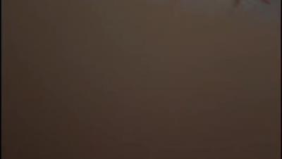 绝版无水完整版，已被封禁乱伦大神【女婿恋上了丈母娘】补加3贴，刮毛口塞内射，把丈母娘调教成肉便器