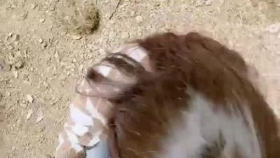 海角极品嫩妹『长腿白虎小优』户外玩裸玩给哥哥十八般武艺足交手交口交 射的满屁股上都是精液 (4V)