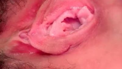 【荔枝茶茶】甜美女神 画面美到不真实 粉嫩骚穴完美无死角 怼屏掰穴