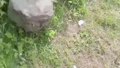 极品乱伦『小姨子的秘密』清晨勃起 对着练瑜伽的小姨子暴力输出 抬腿后入嫩穴灌满精液！