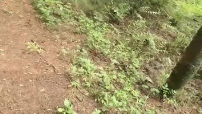 小姨子逼里夹跳蛋爬山姐夫后入猛插蜜穴淫水横流打飞机射小姨子满满一嘴！