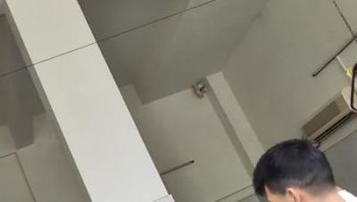 人气露出女神超大胆【cikaimoon】全裸台球厅打球，引一群男人开心围观，兄弟们好想扑上去干她！